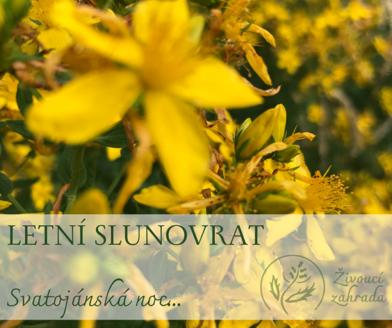 Letní slunovrat a Devatero kvítí – Živoucí zahrady