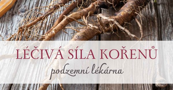 Kopie návrhu Kopie návrhu UDALOST_pelynek Kopie návrhu Kopie návrhu UDALOST_pelynek