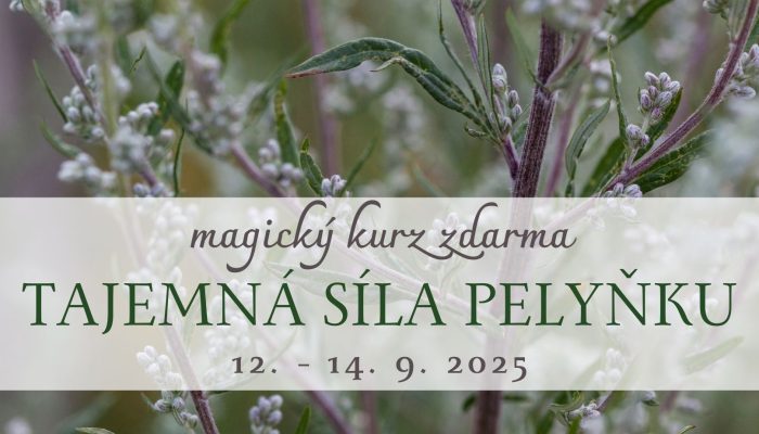 Kopie návrhu UDALOST_pelynek Kopie návrhu UDALOST_pelynek