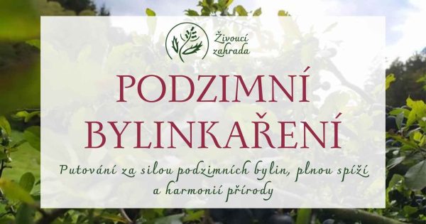 Kopie návrhu podzimní bylinkaření