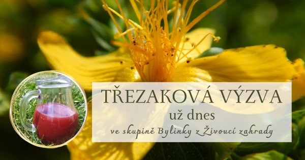 TŘEZAKOVÁ VÝZVA(2)