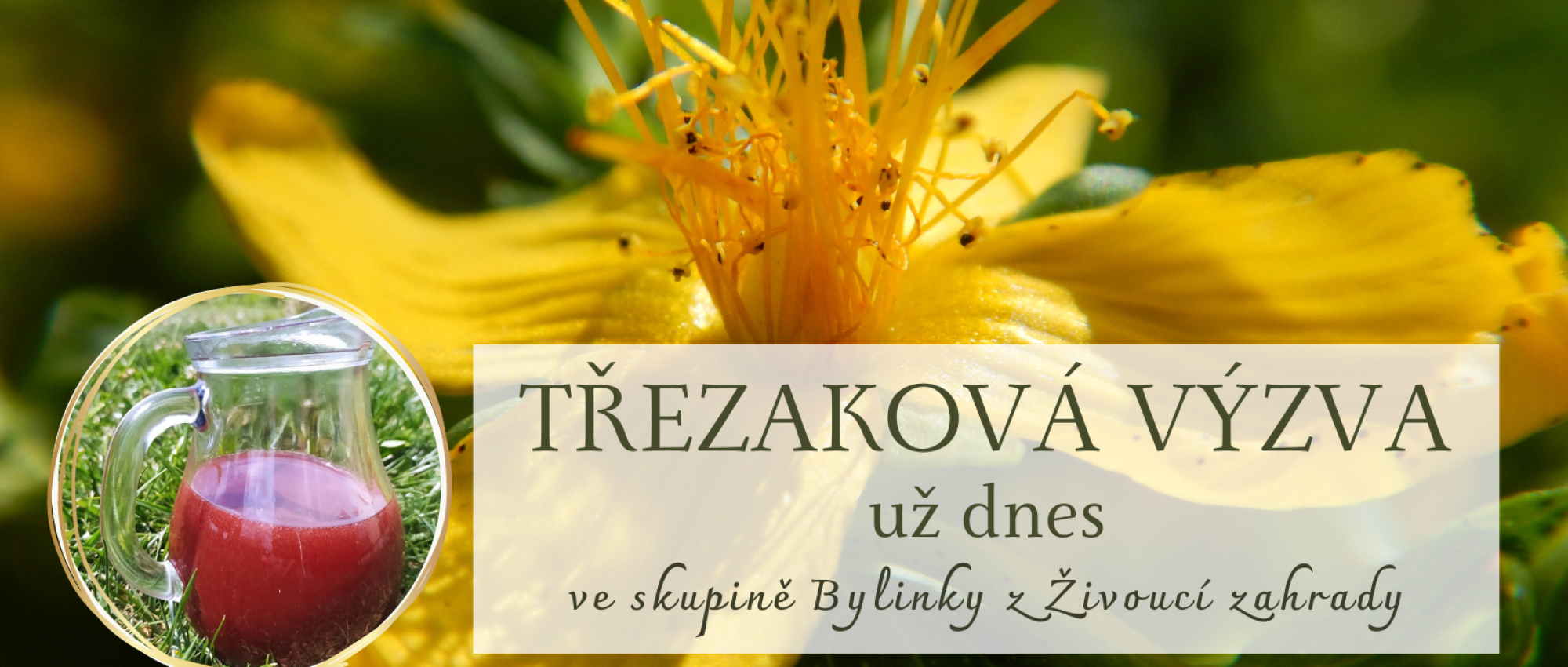 TŘEZAKOVÁ VÝZVA(2)